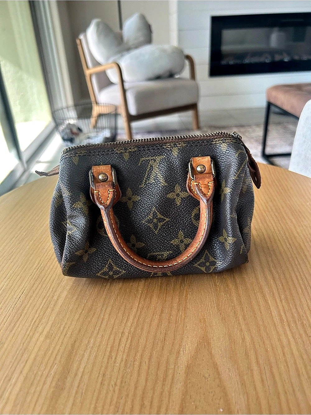 Louis Vuitton Nano Speedy Monogram Satchel in Brown & Black